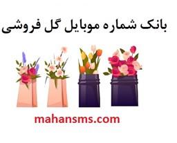 تصویر بانک شماره موبایل گل فروشی 